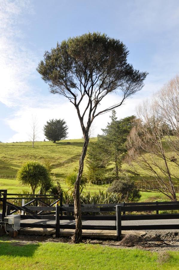 Matapouri & Tutukaka Spectacular Coastal Views- Aroha Luxury Guest Suite Exterior foto
