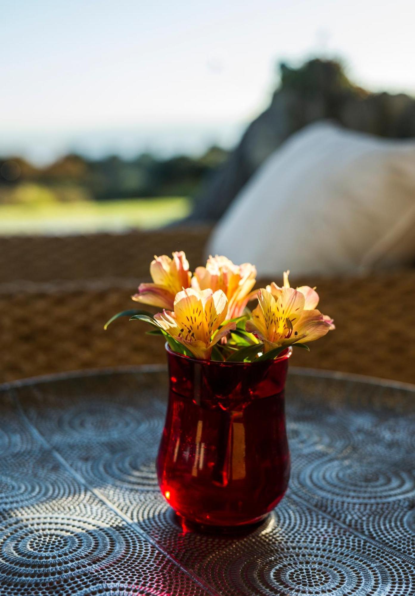 Matapouri & Tutukaka Spectacular Coastal Views- Aroha Luxury Guest Suite Exterior foto